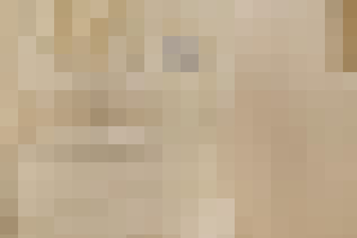  / #23