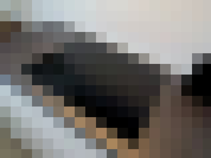  / #15
