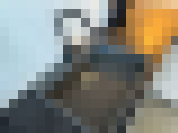  / #14