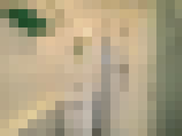  / #11