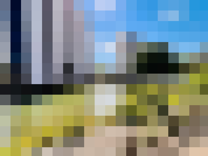 / #15