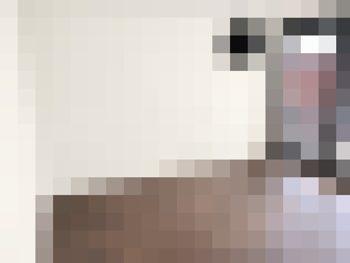  / #16