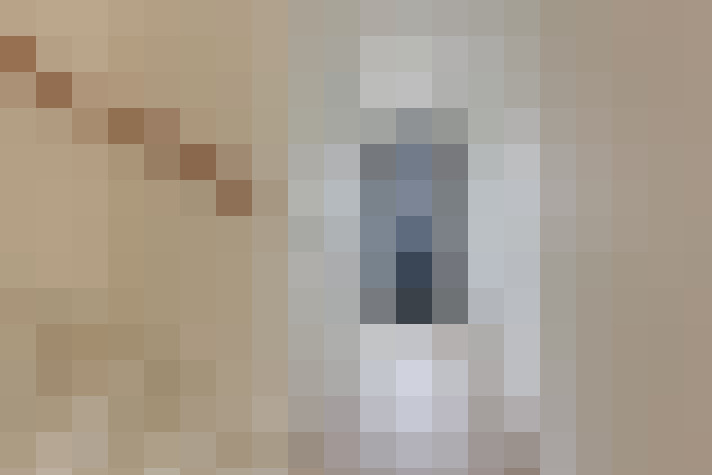  / #17