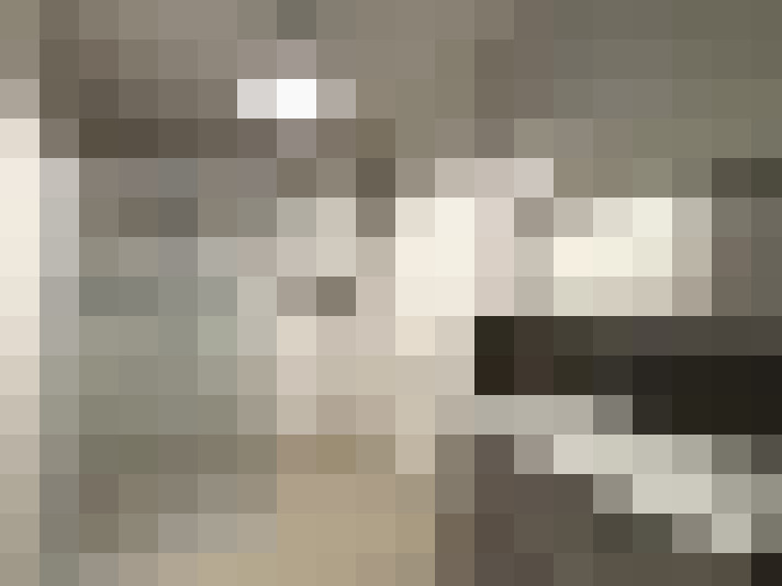  / #7