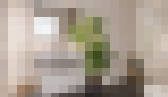  / #12