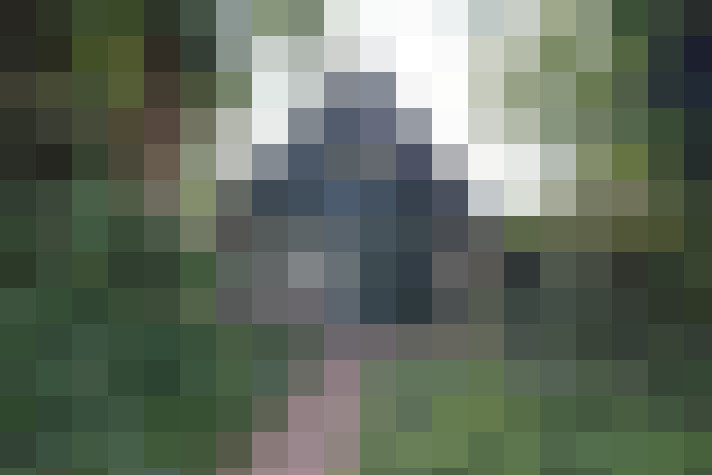  / #17