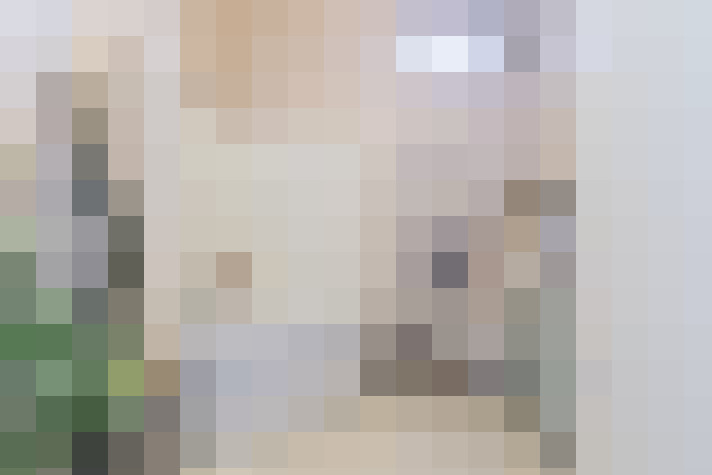  / #17
