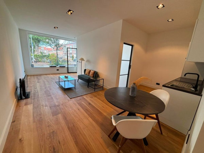 View photo 1/15 of apartment in Haarlem