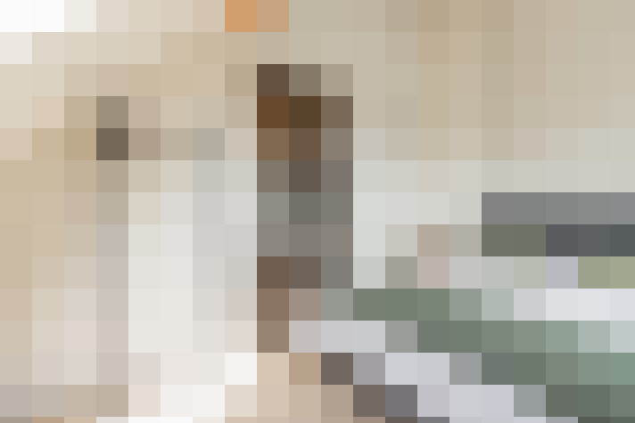  / #12