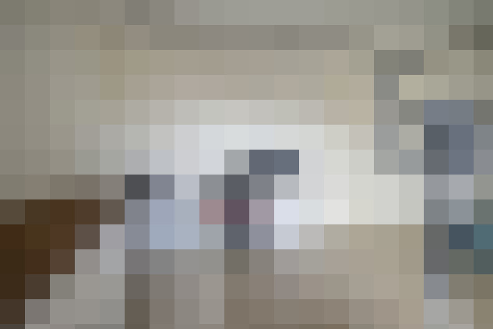  / #23