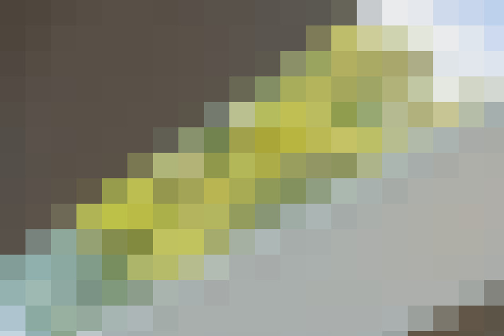  / #10