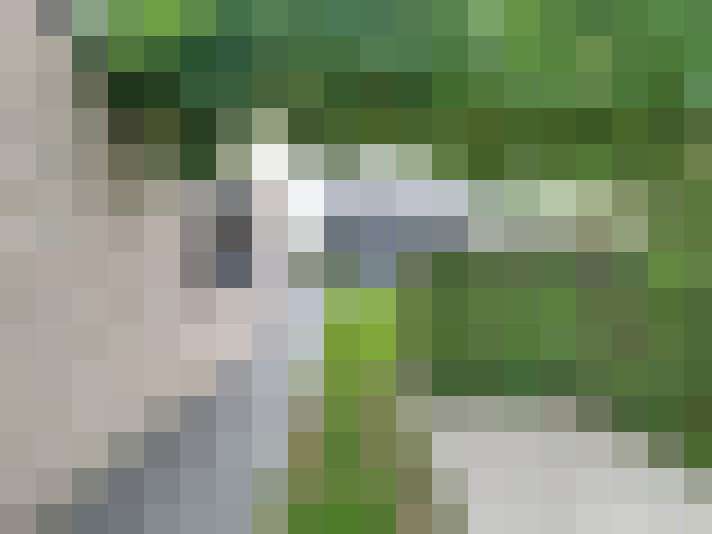  / #15