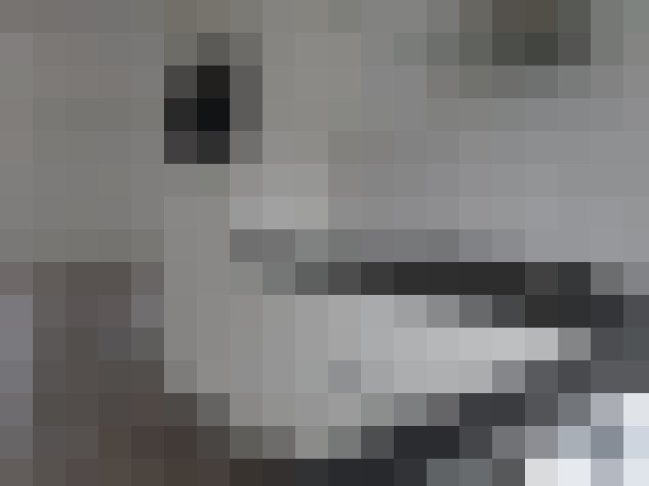  / #17