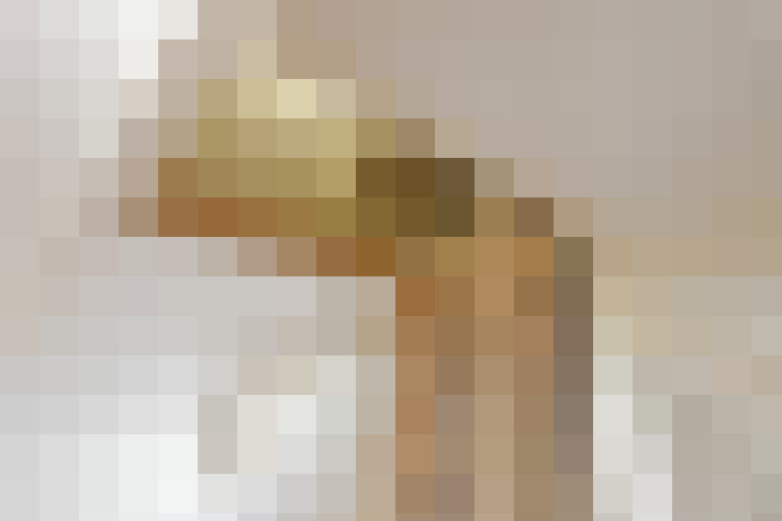  / #24