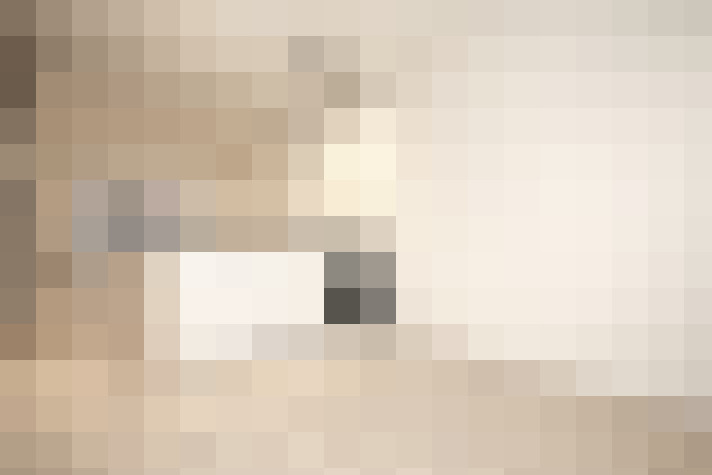  / #19