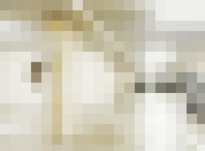 / #19