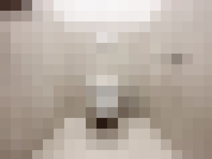  / #15