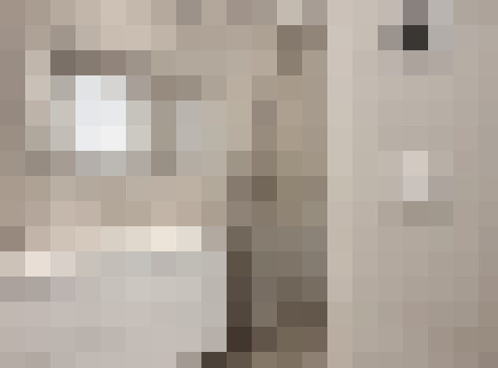  / #14