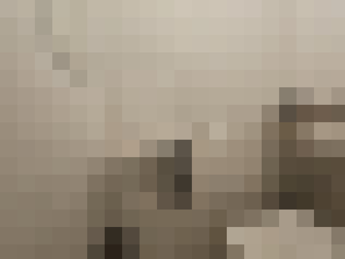  / #14