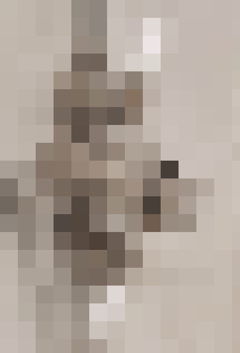  / #14