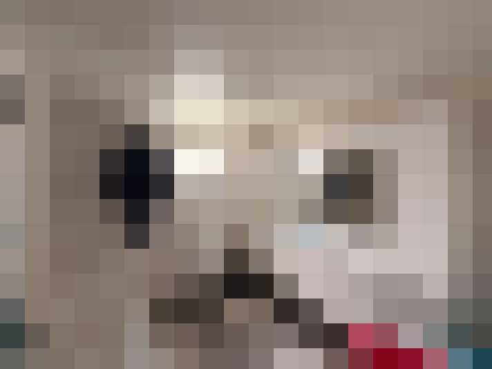  / #5