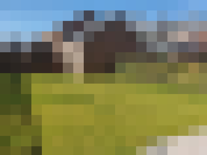  / #15