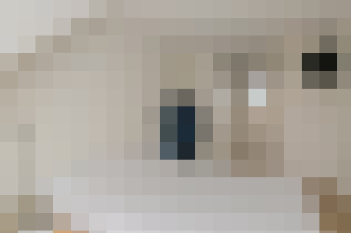  / #22