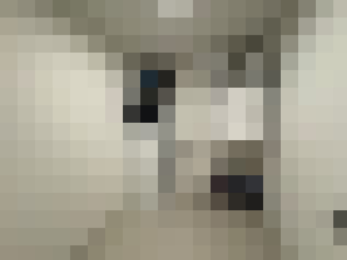  / #19