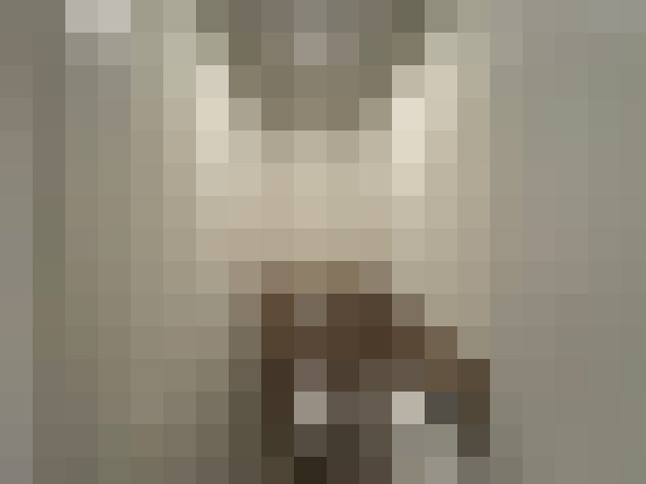  / #17