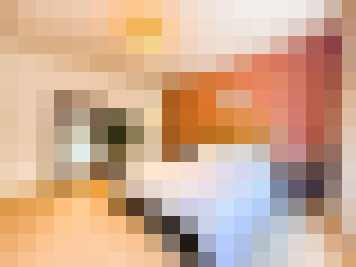  / #16