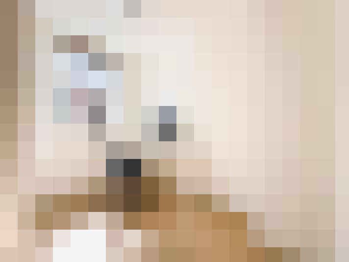  / #22