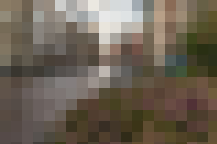  / #20