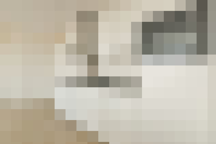  / #8