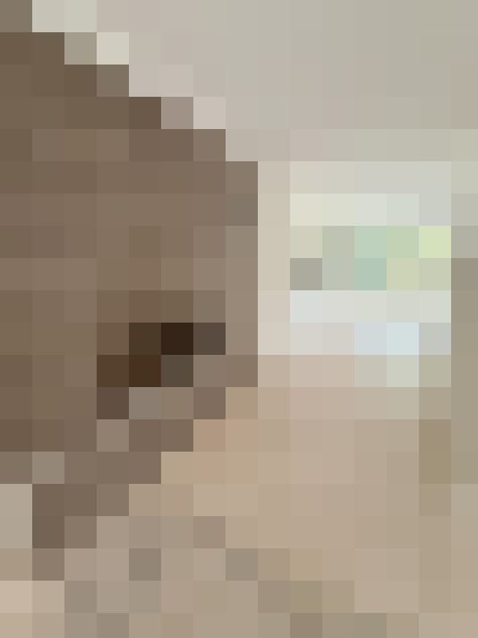  / #19