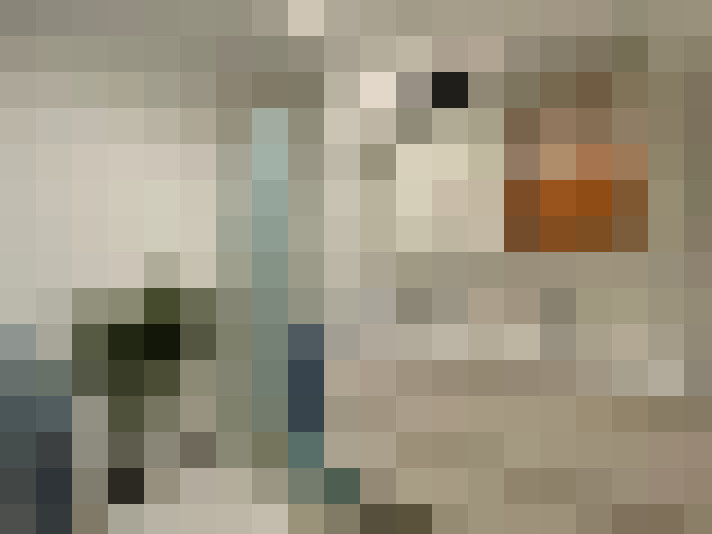  / #7