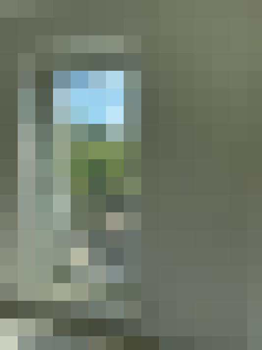  / #11