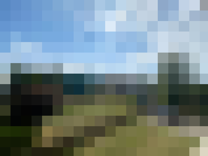  / #4