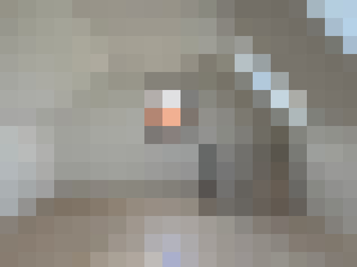  / #17
