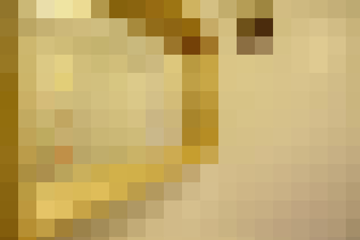  / #11