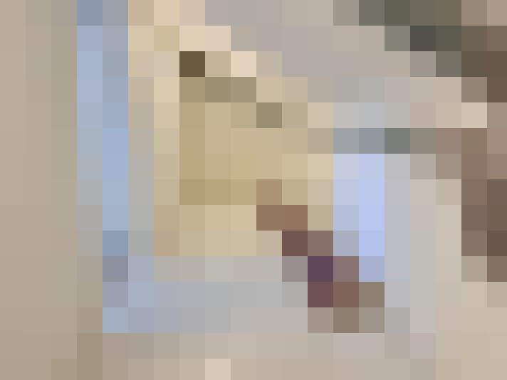  / #19