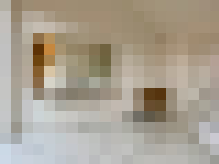  / #17
