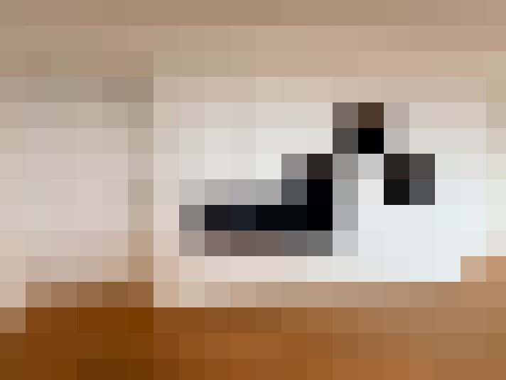  / #23