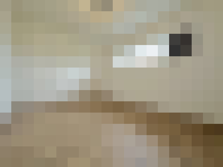  / #13