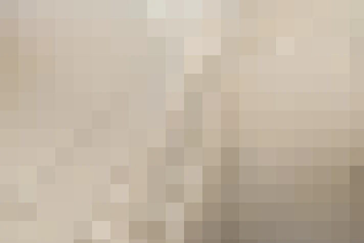  / #15