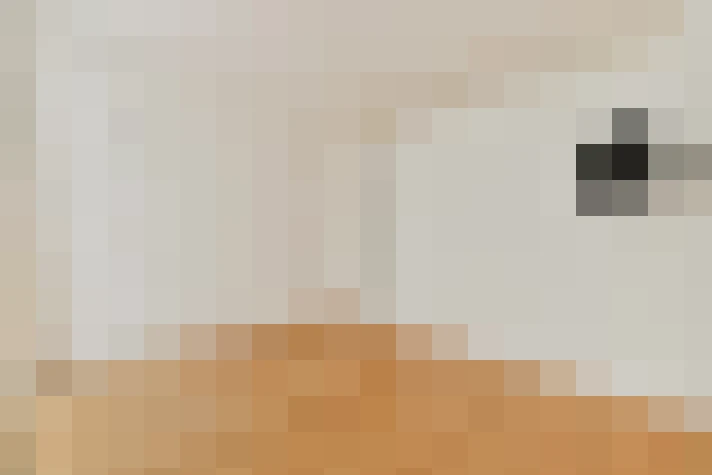  / #18