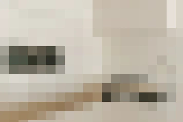  / #8