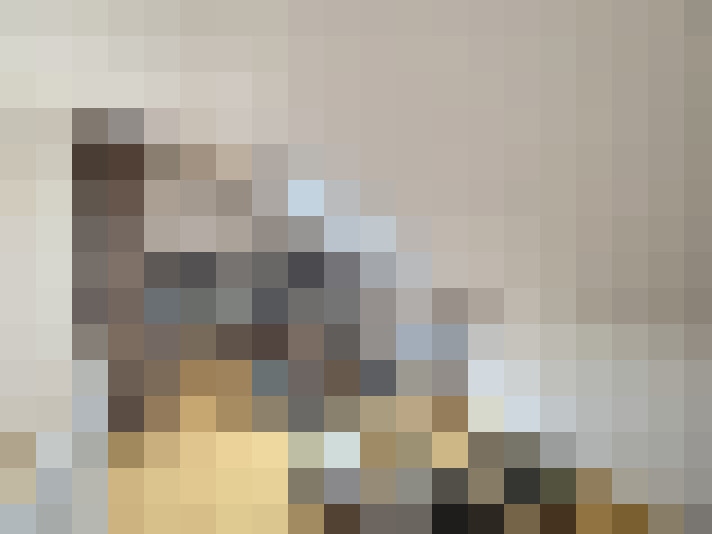  / #16