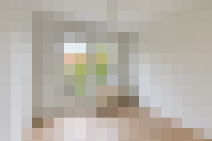  / #17