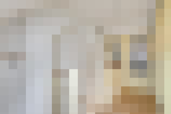  / #22