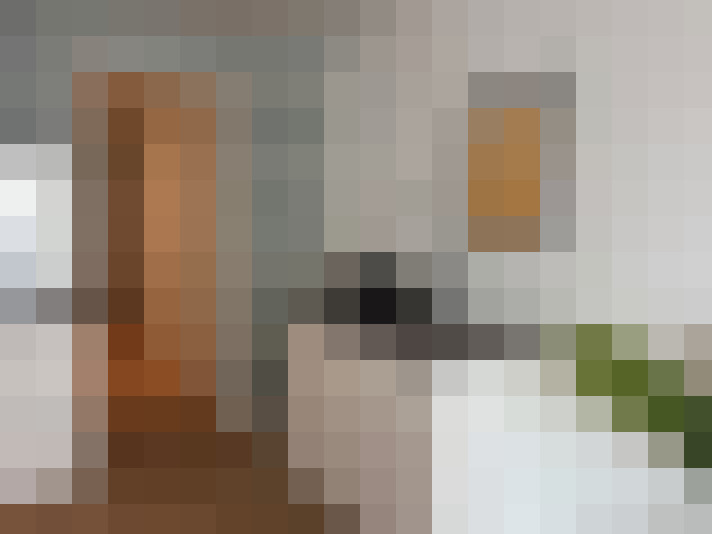  / #17
